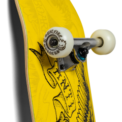 Antihero Copier Eagle 8.06 Pro Complete Kaykay