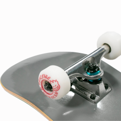 Antihero Team Pigeon 8.25 Pro Complete Kaykay