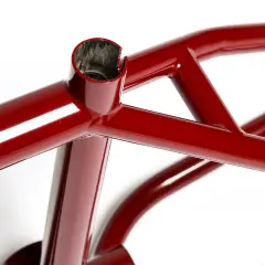 Animal Red Eye Red 20.75 Limited Edition Kadro